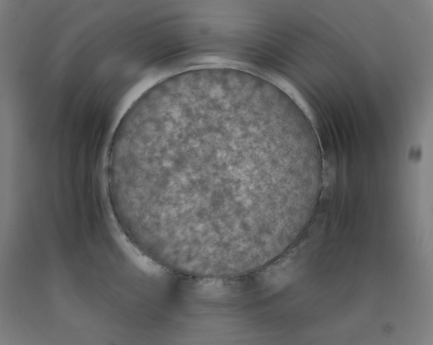 X0000091861098200709261249