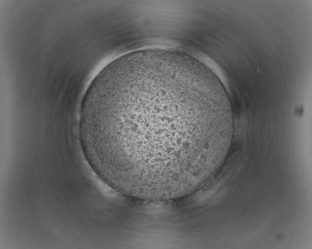 X0000091861099200709261249