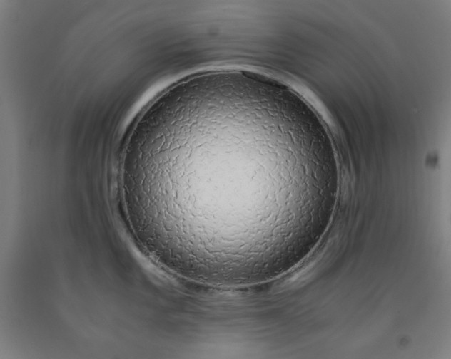 X0000091861101200709261249