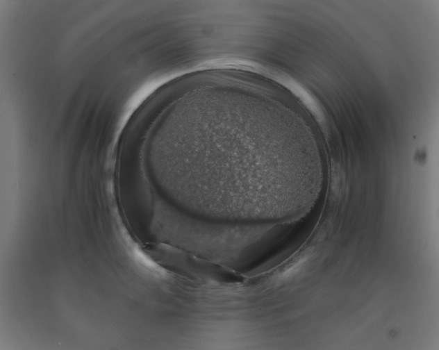 X0000091861102200709261249