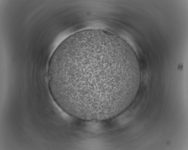 X0000091861103200709261249