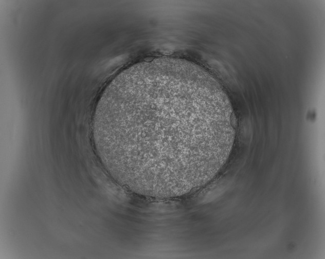 X0000091861105200709261249