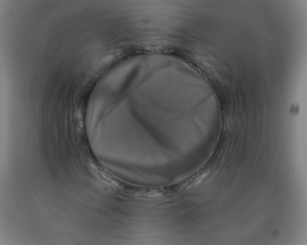 X0000091861106200709261249