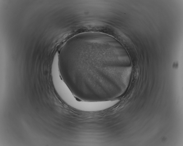 X0000091861108200709261249