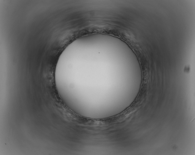 X0000091861109200709261249