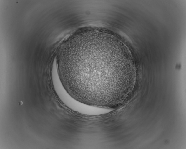 X0000091861110200709261249