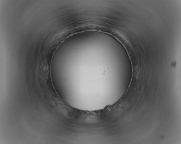 X0000091861111200709261249