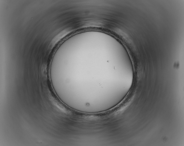 X0000091861113200709261249