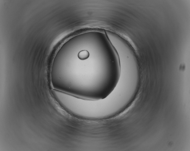 X0000091861114200709261249