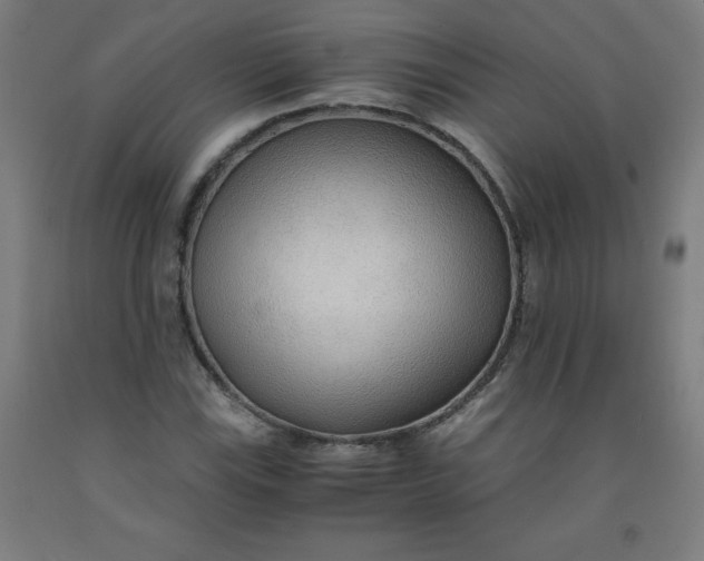 X0000091861115200709261249