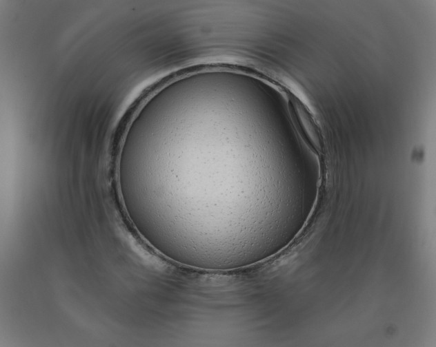 X0000091861116200709261249