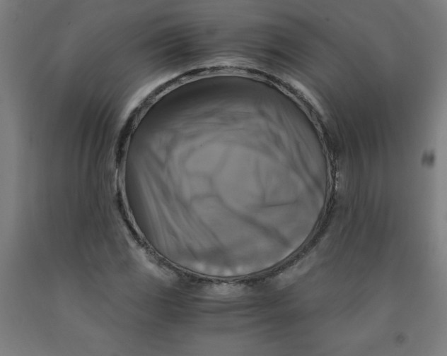 X0000091861117200709261249