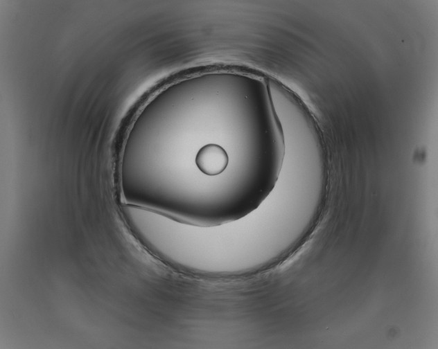 X0000091861118200709261249