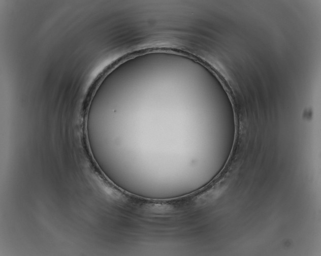 X0000091861119200709261249