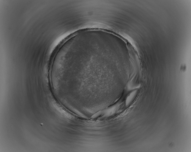 X0000091861120200709261249