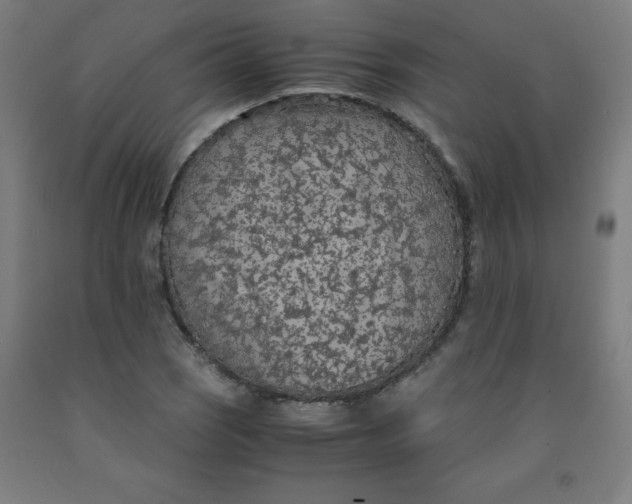 X0000091861121200709261249