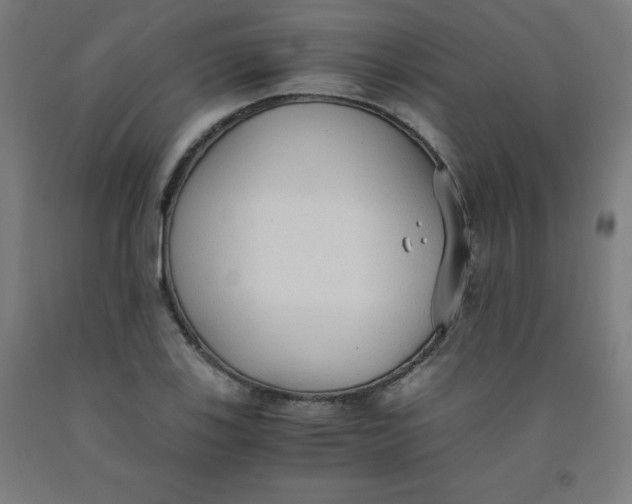 X0000091861123200709261249