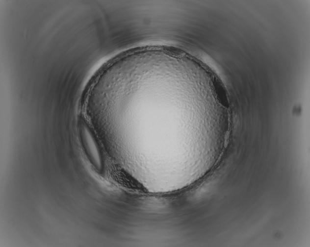 X0000091861124200709261249