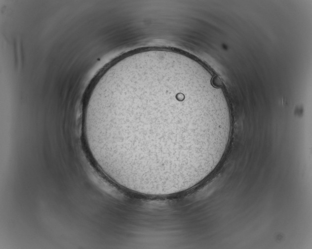 X0000091861126200709261249