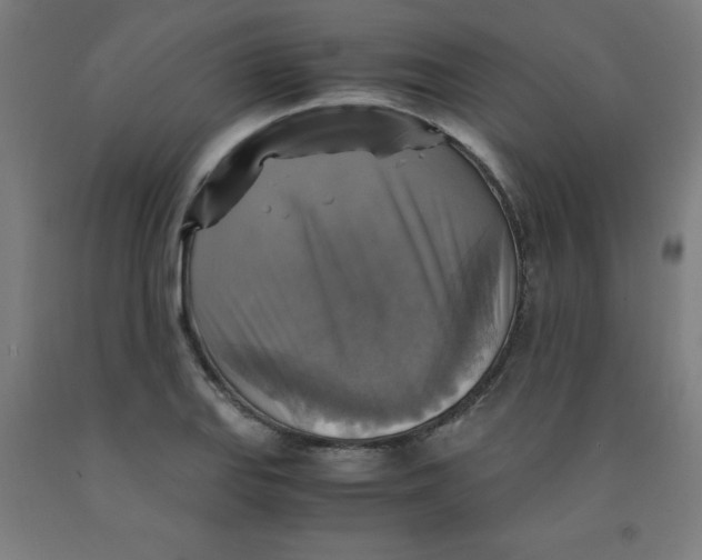 X0000091861127200709261249