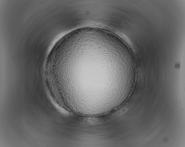 X0000091861128200709261249