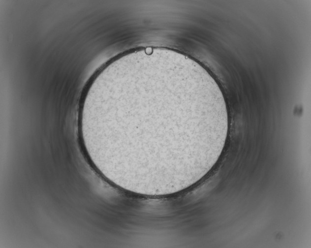 X0000091861130200709261249