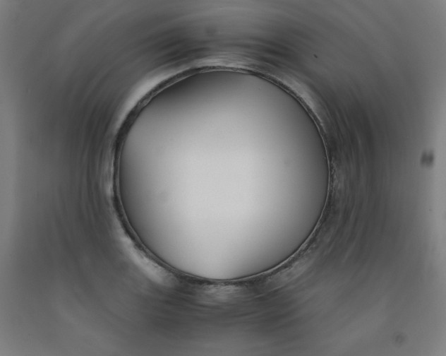 X0000091861131200709261249