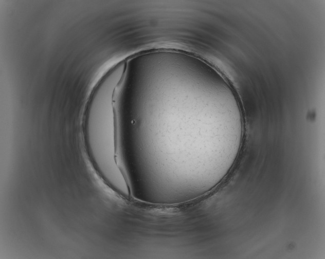 X0000091861133200709261249