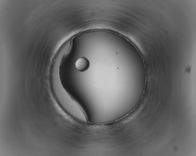 X0000091861134200709261249