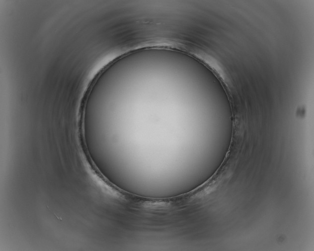 X0000091861135200709261249