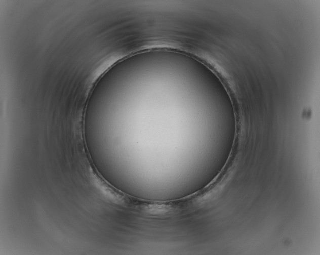 X0000091861137200709261249