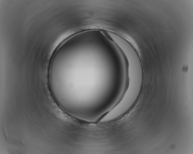 X0000091861138200709261249