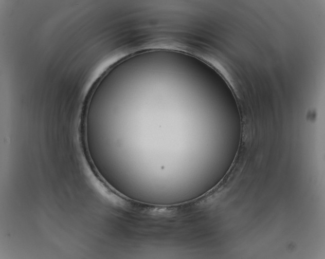 X0000091861139200709261249