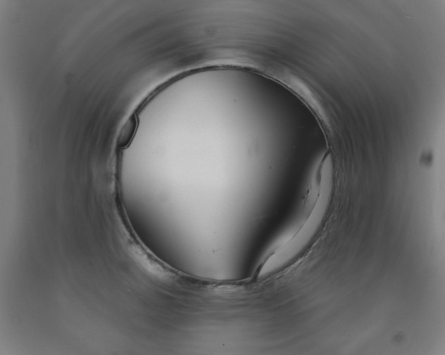 X0000091861140200709261249