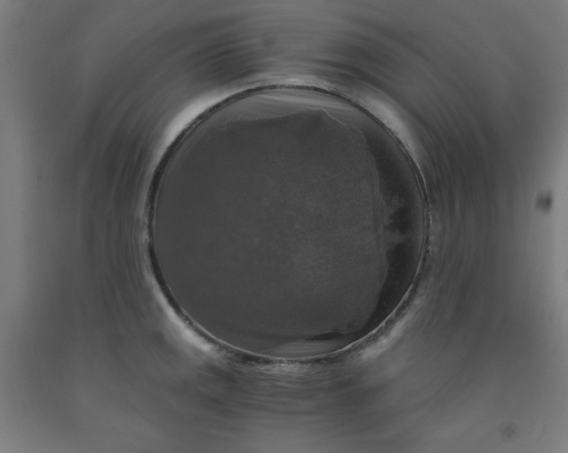 X0000091861141200709261249