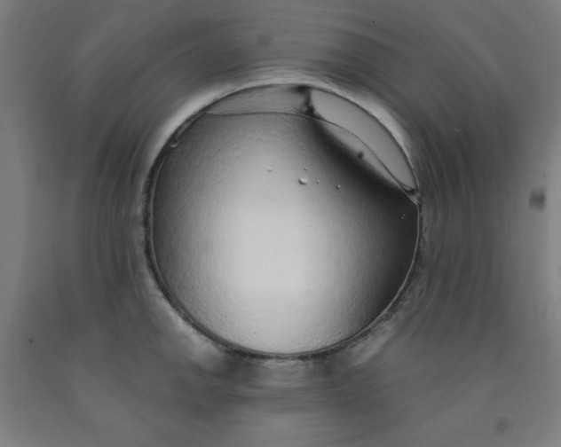 X0000091861142200709261249