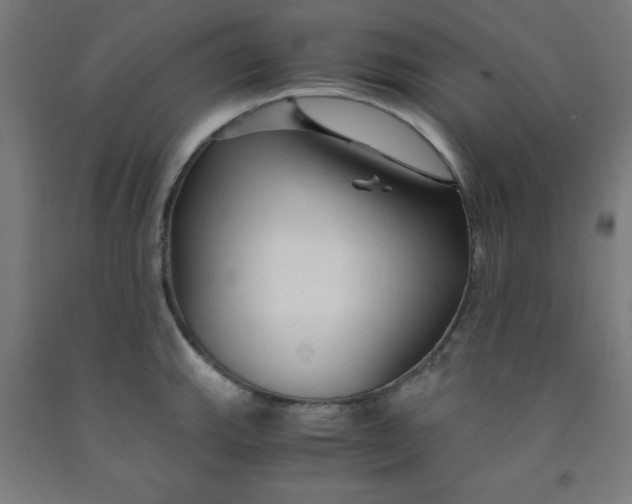 X0000091861143200709261249