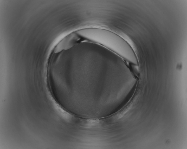 X0000091861144200709261249