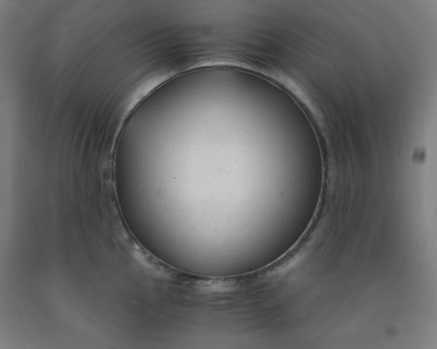 X0000091861145200709261249