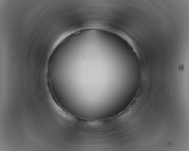 X0000091861147200709261249