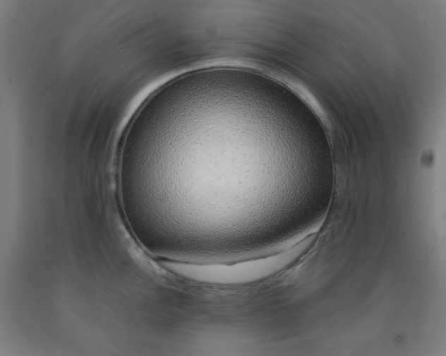 X0000091861148200709261249