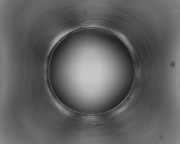 X0000091861149200709261249