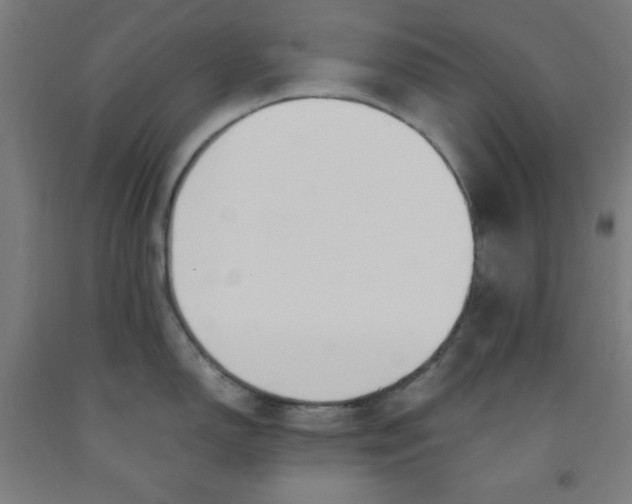 X0000091861150200709261249