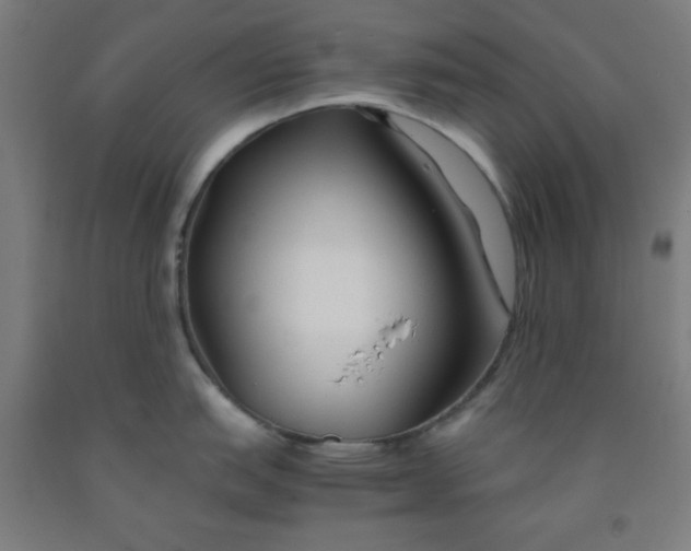 X0000091861151200709261249