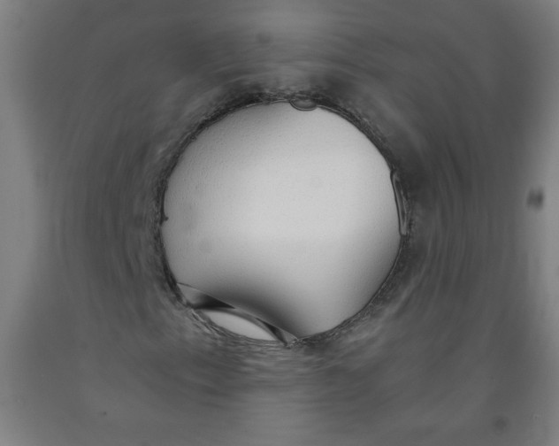 X0000091861153200709261249