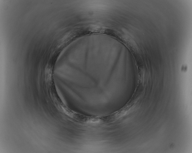 X0000091861154200709261248