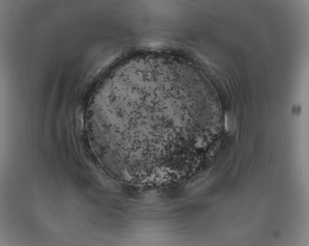 X0000091861155200709261248