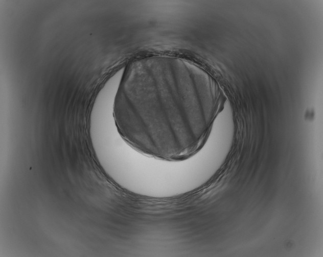 X0000091861156200709261248