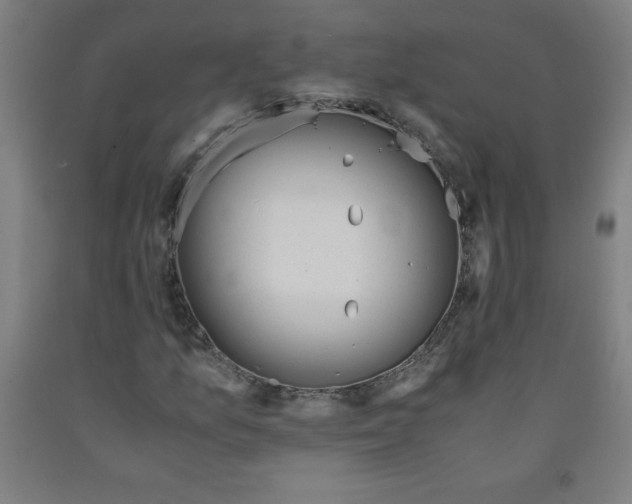 X0000091861157200709261248