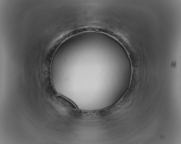 X0000091861159200709261248